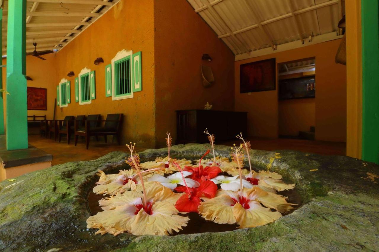 Hotel Susantha Garden Bentota Zewnętrze zdjęcie